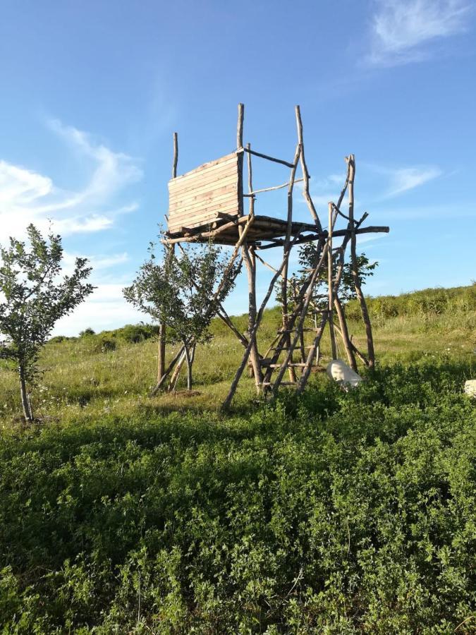 Pensiunea Agroturistica Casa Sirca Boghiş Eksteriør billede